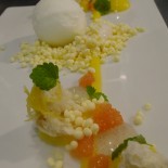 Mango Dessert 024