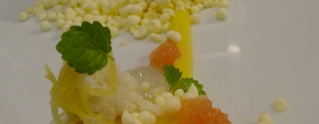 Mango Dessert 024