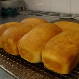 Bread 003