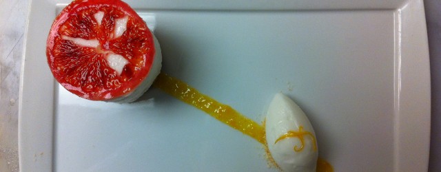 citrus dessert above shot